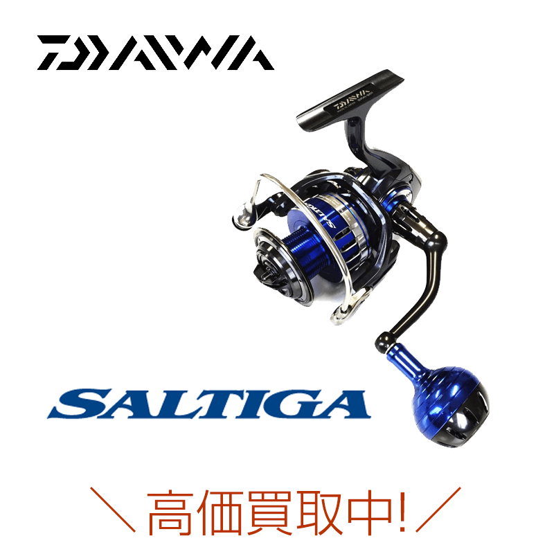 ダイワ　ソルティガSALTIGA